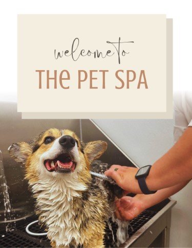 CA3168-Welcome to Pet Spa.jpg