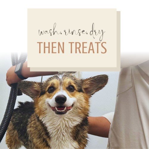 CAIG2274-Pet Spa Treats.jpg