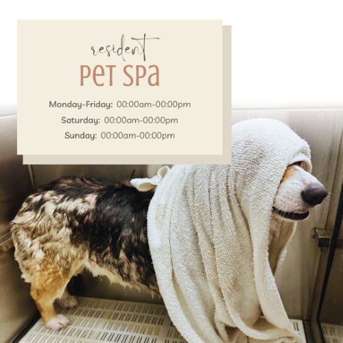 CAIG2275-Pet Spa Hours.png