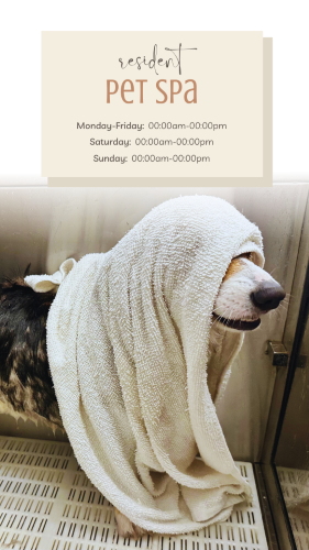 CAIGS1675-Pet Spa Hours.png