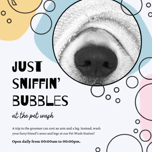 CAIG2276-Bubbles Pet Wash Event.png