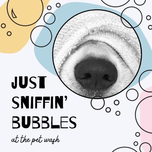 CAIG2277-Bubbles Pet Wash Sign.jpg