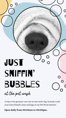 CAIGS1676-Bubbles Pet Wash Event.png