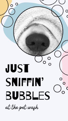 CAIGS1677-Bubbles Pet Wash Sign.jpg