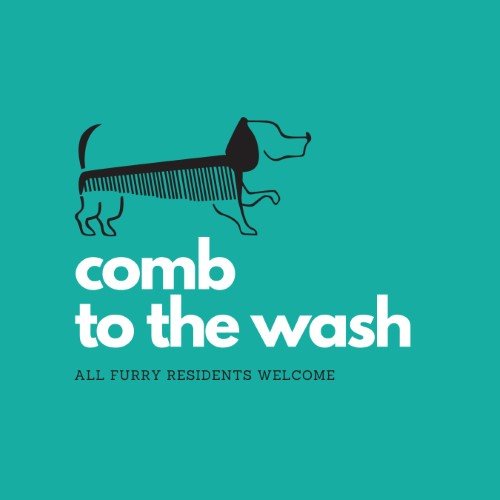 CAIG2279-Comb to the Wash.jpg
