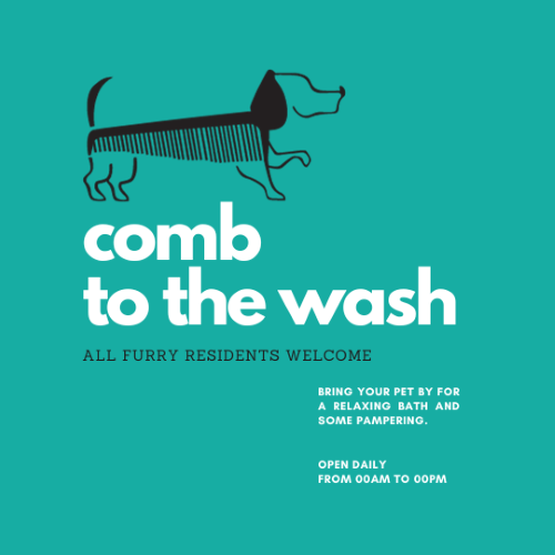 CAIG2278-Comb to the Wash Hours.png