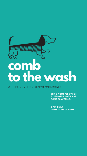 CAIGS1678-Comb to the Wash Hours.png
