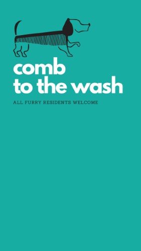 CAIGS1679-Comb to the Wash Sign.jpg