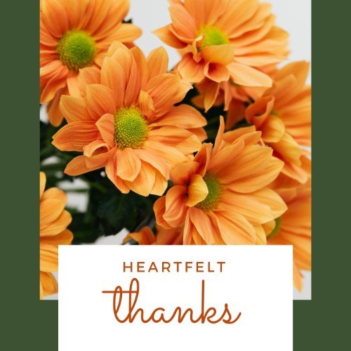 CAIG2718-Heartfelt Thanks Daisies.jpg