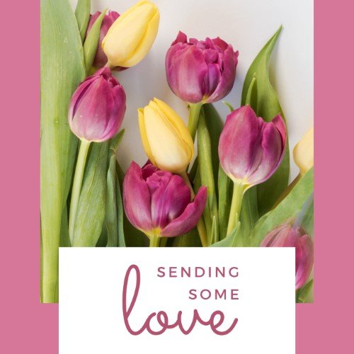 CAIG2720-Love Note Tulips.jpg