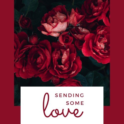 CAIG2722-Love Note Dark Red Rose.jpg