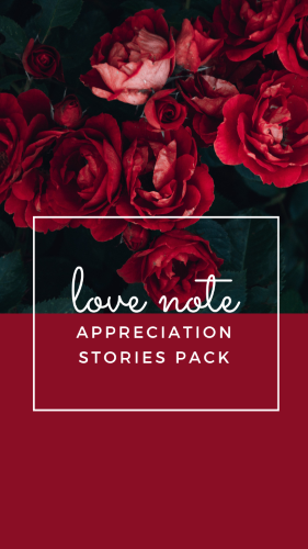 CAIGS2118-Love Note Stories Pack.png