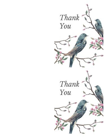 CA3745-Bird's Nest Thank You Cards.jpg