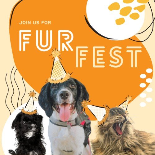 CAIG2952-Fur Fest Join Us.jpg
