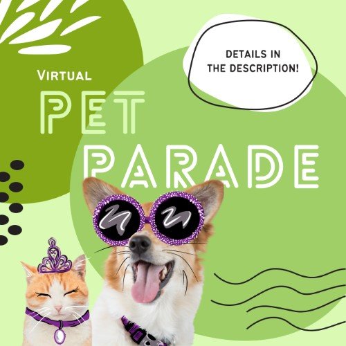 CAIG2954-Fur Fest Virtual Pet Parade.jpg