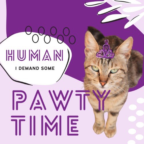 CAIG2957-Fur Fest Pawty Time.jpg