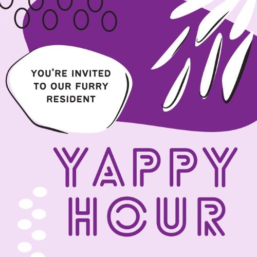 CAIG2961-Fur Fest Yappy Hour.jpg