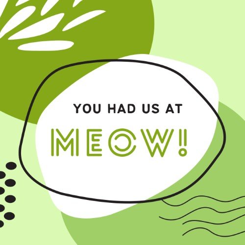 CAIG2962-Fur Fest MEOW.jpg
