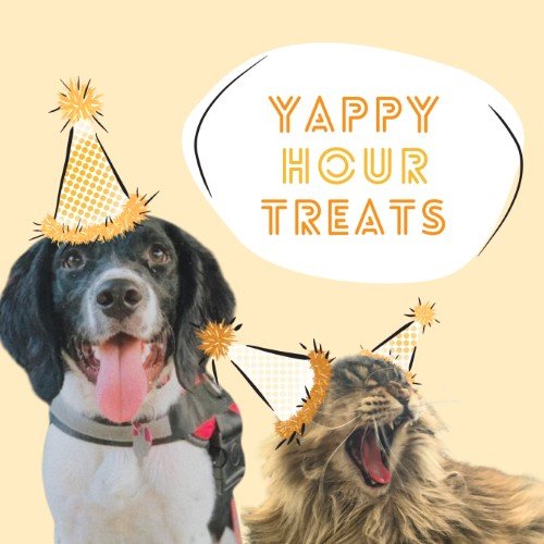 CAIG2965-Fur Fest Yappy Hour Treats.jpg