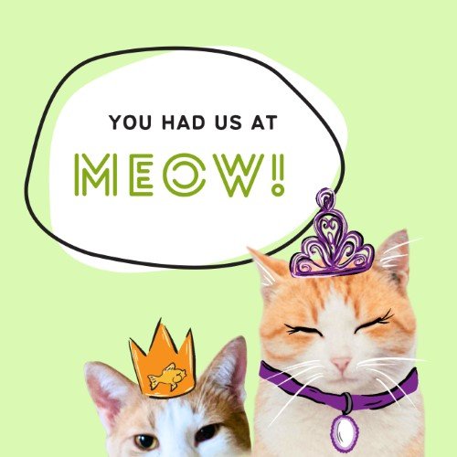 CAIG2966-Fur Fest Had Us at Meow.jpg