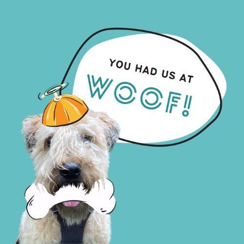 CAIG2967-Fur Fest Had Us at Woof.jpg
