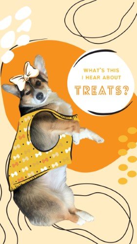 CAIGS2244-Fur Fest Heard About Treats.jpg
