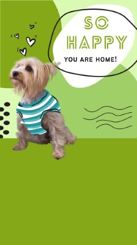 CAIGS2246-Fur Fest Puppy Welcome.jpg