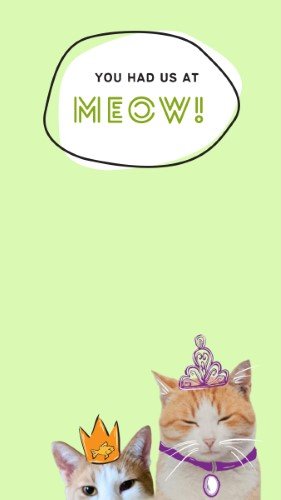 CAIGS2254-Fur Fest Had Us at Meow.jpg