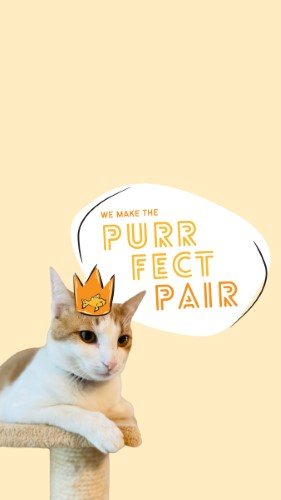 CAIGS2256-Fur Fest Purr-Fect Pair.jpg