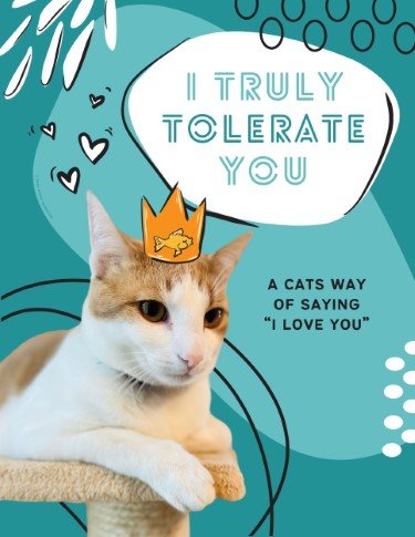 CA3764-Fur Fest Cats Tolerate Us Sign.jpg