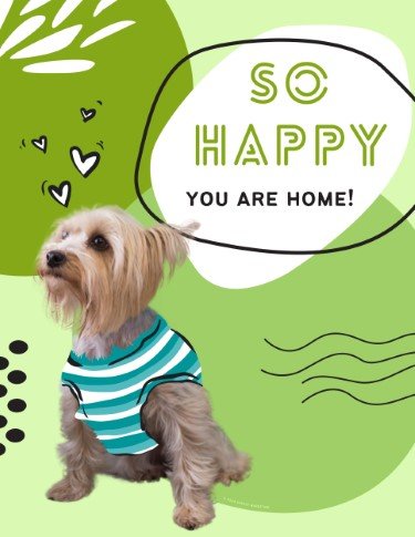 CA3763-Fur Fest Dog Happy Welcome Home.jpg