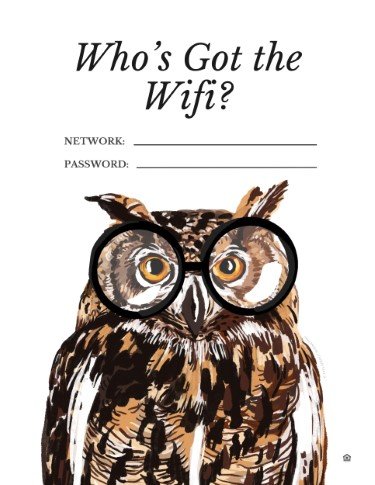 CA3797-Bird's Nest WiFi.jpg