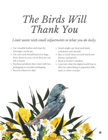 CA3802-Bird's Nest Limit Waste.jpg