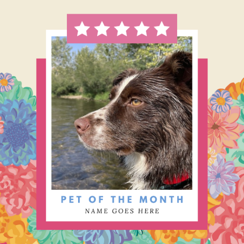 CAIG2973-Wildflower Pet of the Month.png