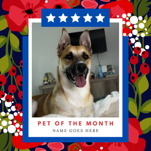 CAIG2974-Winter Floral Pet of the Month.png