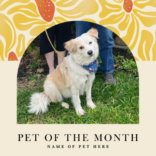 CAIG2984-Mod Spring 8 Pet of the Month.png