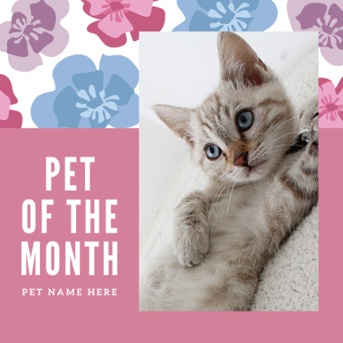 CAIG3002-Pink Florals Pet of the Month.png