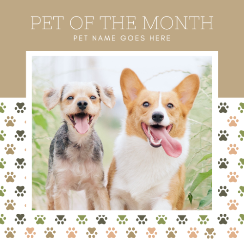 CAIG3009-Neutral Paw Prints Pet of the Month.png