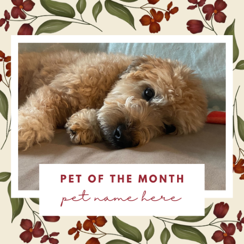 CAIG3013-Dainty Red Floral Pet of the Month.png