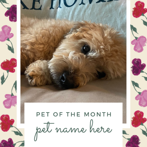 CAIG3018-Dainty Florals Pet of the Month.png