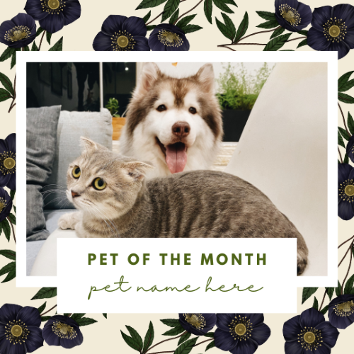 CAIG3017-Dark Florals Pet of the Month.png