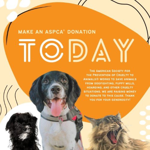 CAIG3028-ASPCA Donation.jpg