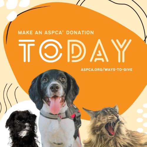 CAIG3029-ASPCA Support 1.jpg