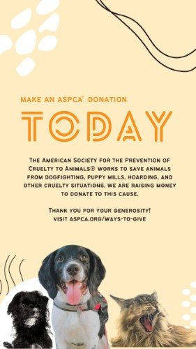 CAIGS2263-ASPCA Donation.jpg