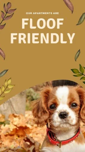 CAIGS2529-Fall Pet Friendly Outreach.jpg