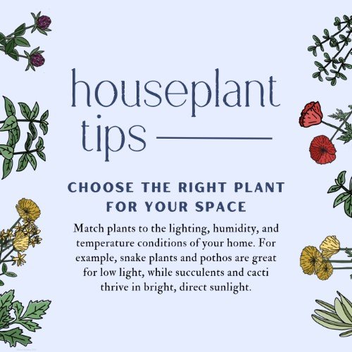 CAIG3945-Houseplant Tips Place.jpg