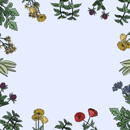 CAIG3950-Houseplant Tips Plants.jpg