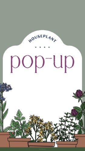 CAIGS2795-Houseplant Workshop.jpg