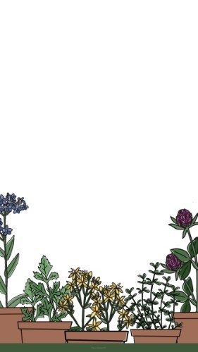 CAIGS2796-Houseplant Workshop Plants.jpg
