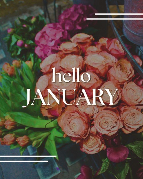 CAIG5357-Hello January Natural.jpg